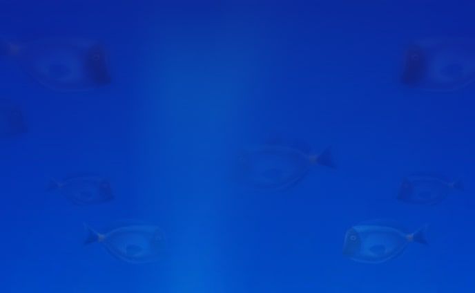 name_fishing_games_type_card_bg_min_ed6bc34db0